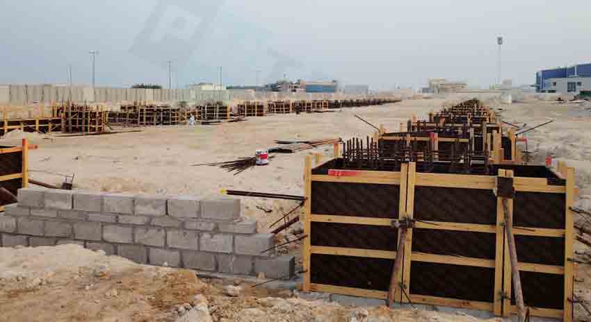 Professional Pre-Project Planning and Consulting Services for New Pulp and Paper Mills