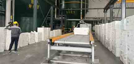 Conveying Systems