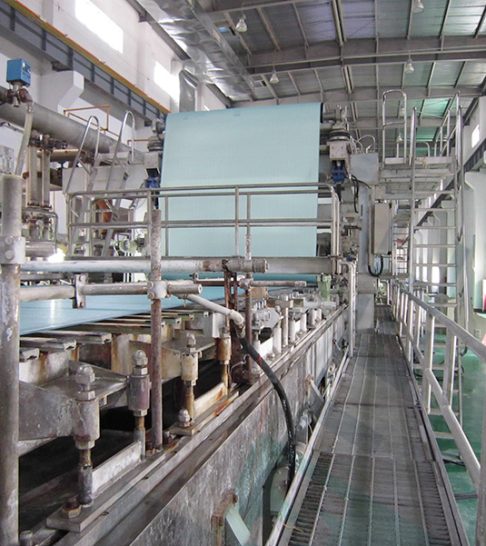 Specialty Paper Explained: Classification, Origins, and Structural Traits