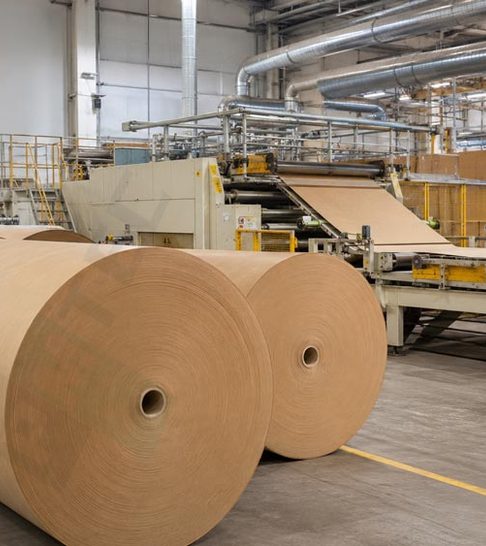 2026 Paper Industry Investment Trends